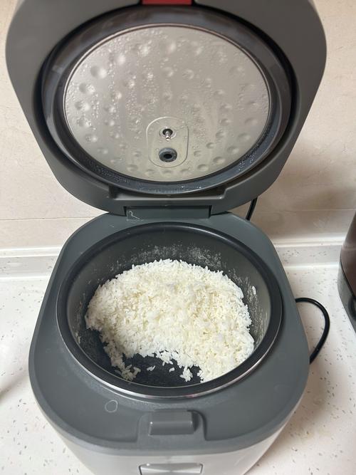 苏泊尔电饭煲 智能大容量，满足全家味蕾的多功能烹饪中心